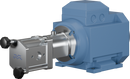 positive-displacement-pumps-m220-12-bsp-female-ssc-fpmplain-motor-0.55-kw-960-rpm-d80-coupling-8010030582-left_medium.webp