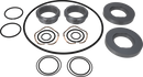 pumps-service-kit-scpp2-scpp2045-134-single-seal-sicsic-fpm-9639203042-content_medium.webp