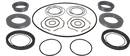 pumps-service-kit-scpp2-scpp2180-scpp2220-double-seal-sicsic-sicc-epdm-9639203054-content_medium.webp
