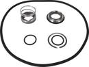 pumps-sicsic-single-shaft-seal-9611927065-content_medium.webp