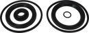 valves-service-kit-fpm-co-special-lip-seal-nw80-9611920489-content_medium.webp