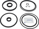 valves-service-kit-fpm-unique-double-seat-101.6dn100-plug-set-up-2-and-13-9611926340-content_medium.webp