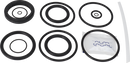 valves-service-kit-unique-mixproof-cip-epdm-iso-51dn50-8010026158-content_medium.webp