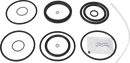 valves-service-kit-unique-mixproof-cip-fpm-iso-63-5dn65-8010026162-content_medium.webp
