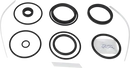 valves-service-kit-unique-mixproof-process-clamped-hnbr-iso-63-5dn65-8010029667-content_medium.webp