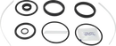 valves-service-kit-unique-mixproof-process-hnbr-iso-63-5dn65-8010026151-content_medium.webp